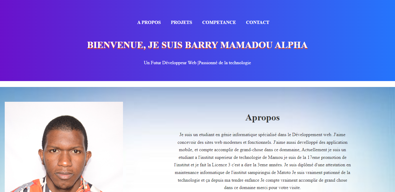 Portfolio professionnel
